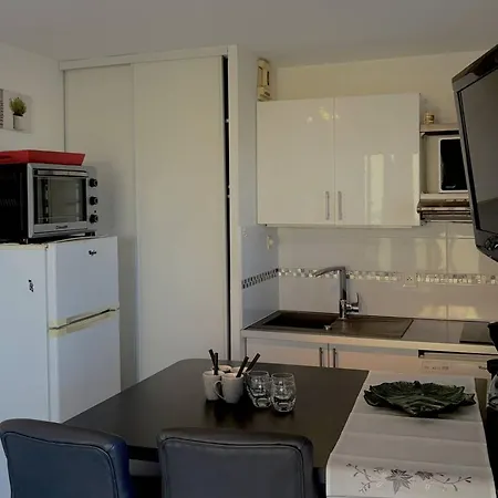 T2, Vue Mer, Parking Prive, 4/6 Pers, - Fr-1-529-111 Apartament