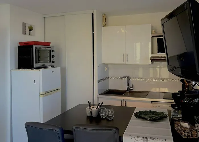 T2, Vue Mer, Parking Prive, 4/6 Pers, - Fr-1-529-111 Apartament